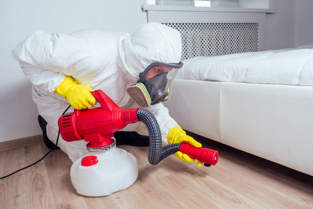 Best Bed Bug Extermination  in Rusk, TX